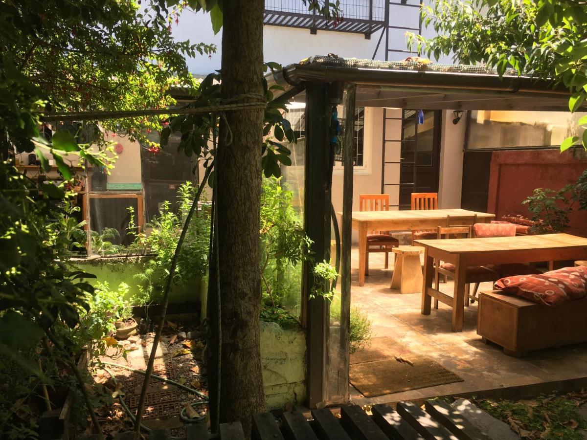 Airesbuenos Hostel Y Permacultura Вальдивия Экстерьер фото